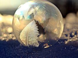Bevroren zeepbellen fotograferen
